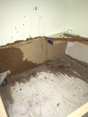 Water Damage in Mineral Wells, TX after Water Migrated to Kitchen Ceiling (1)