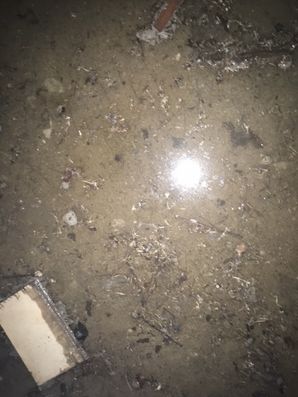 Flooded Crawl Space in Mineral Wells, TX (2)