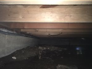 Flooded Crawl Space in Mineral Wells, TX (4)